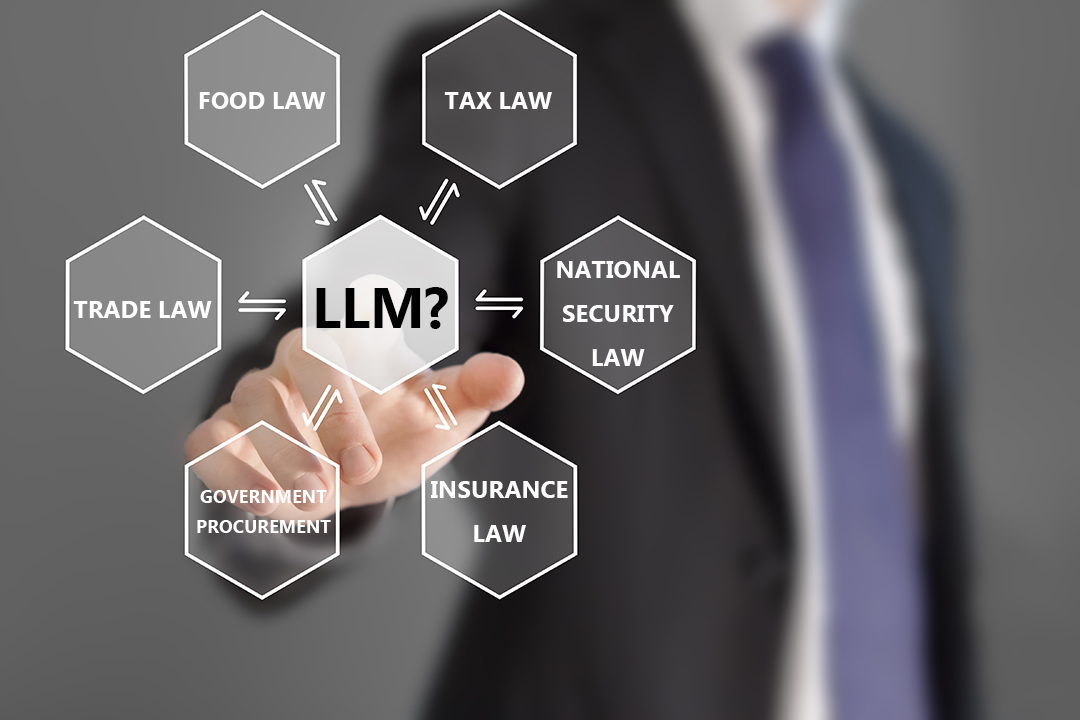 llm and phd in law